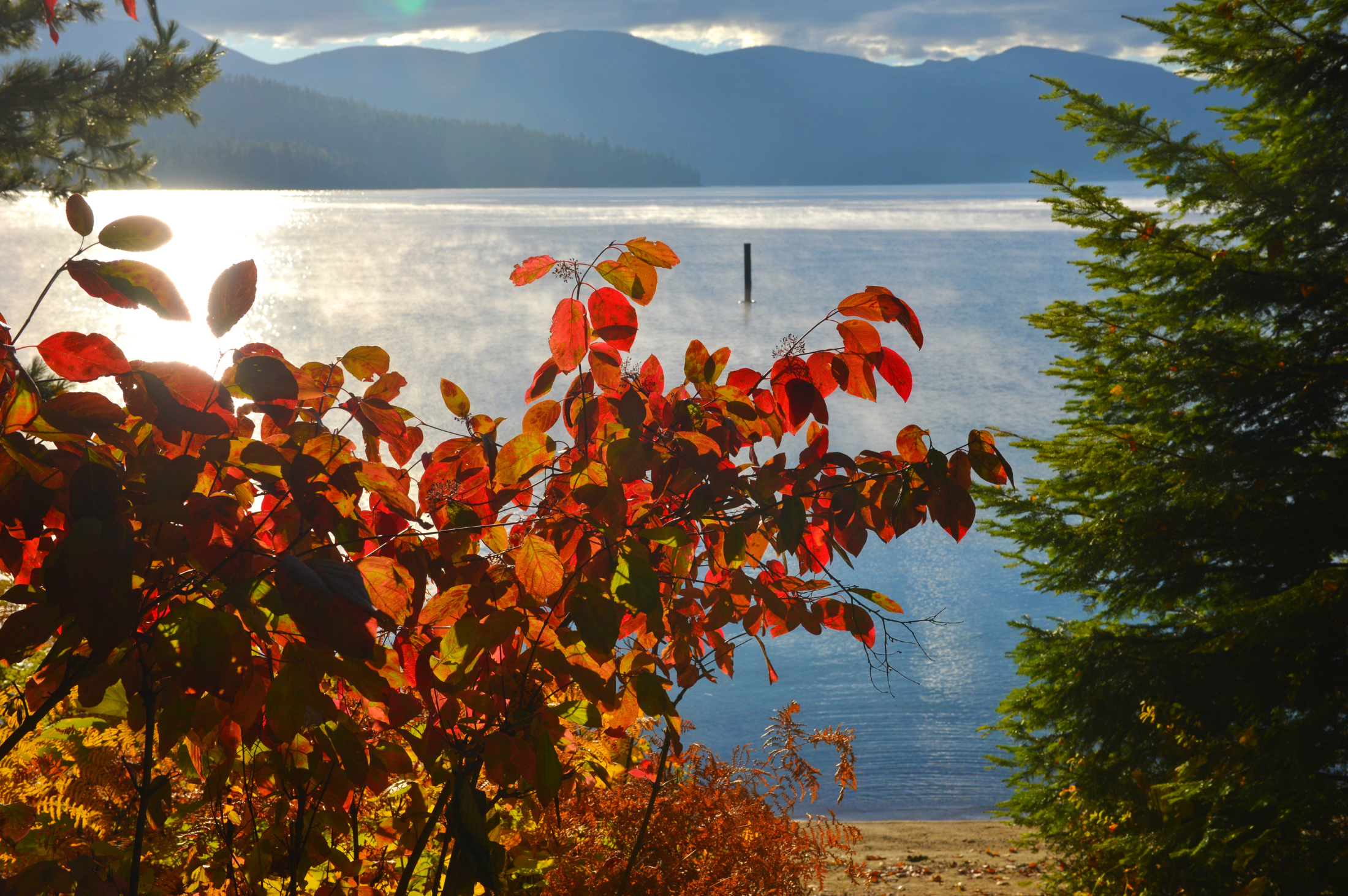 Priest Lake